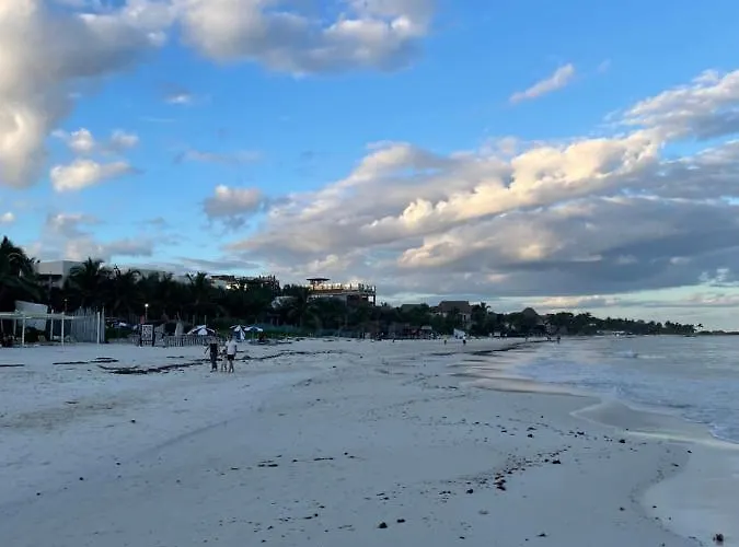 Omara * Tulum